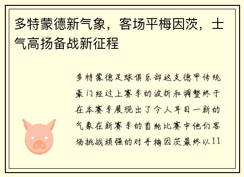 多特蒙德新气象,客场平梅因茨,士气高扬备战新征程