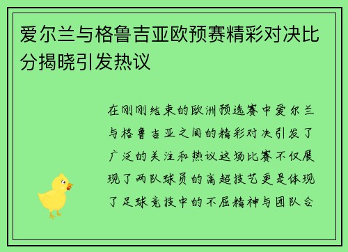 爱尔兰与格鲁吉亚欧预赛精彩对决比分揭晓引发热议